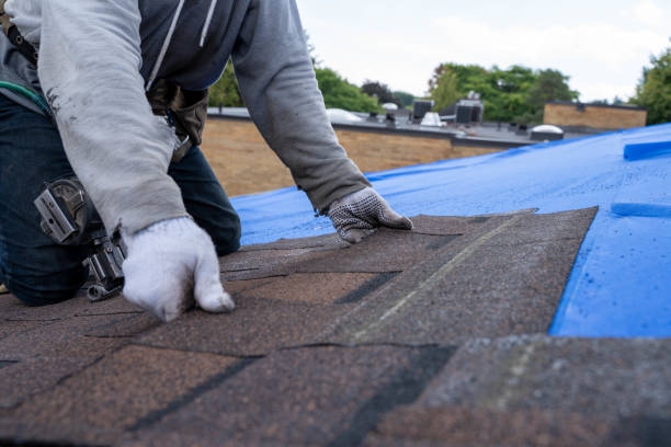 Best Roof Gutter Cleaning  in Hampton Manor, NY